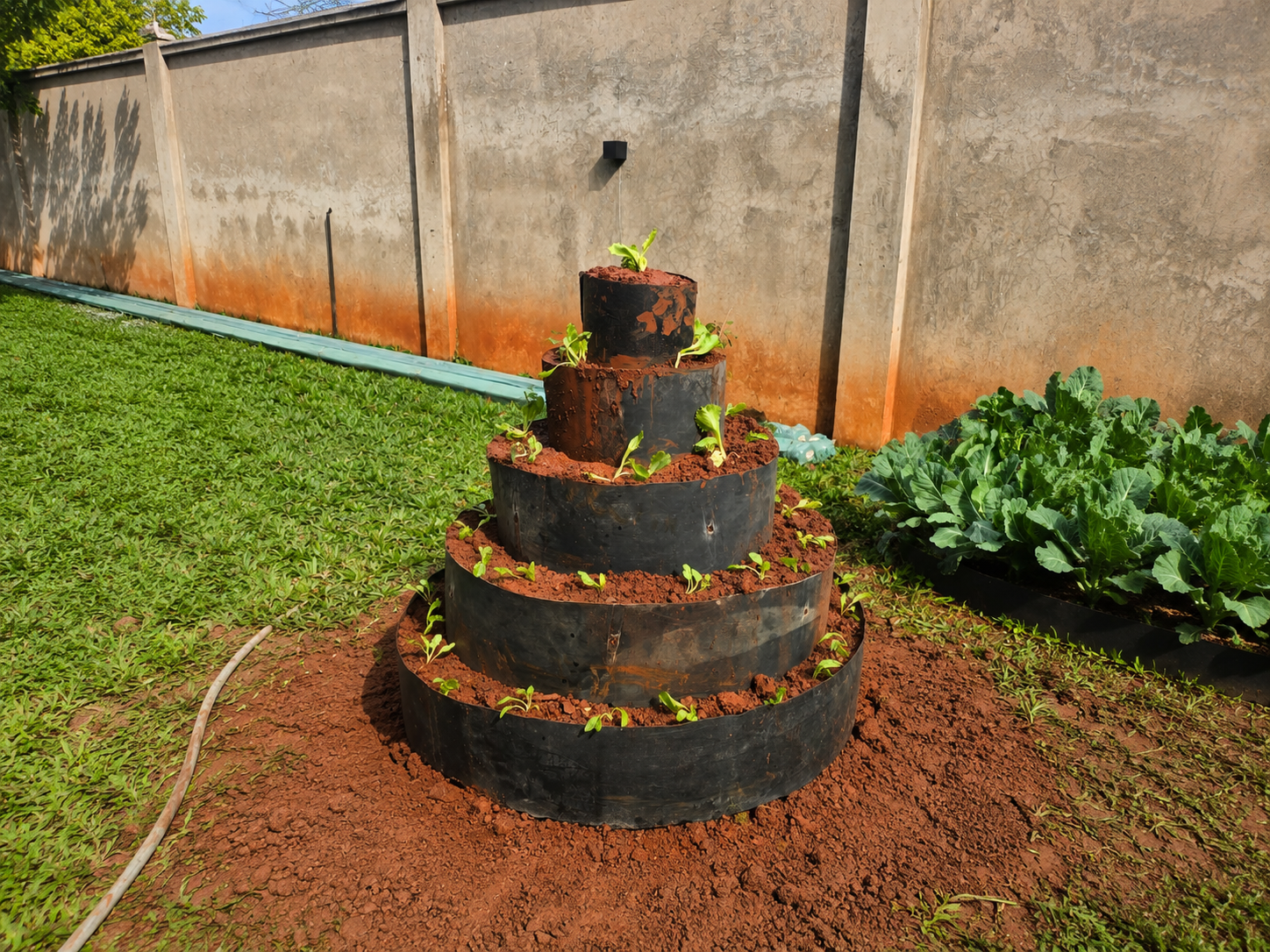 School garden program